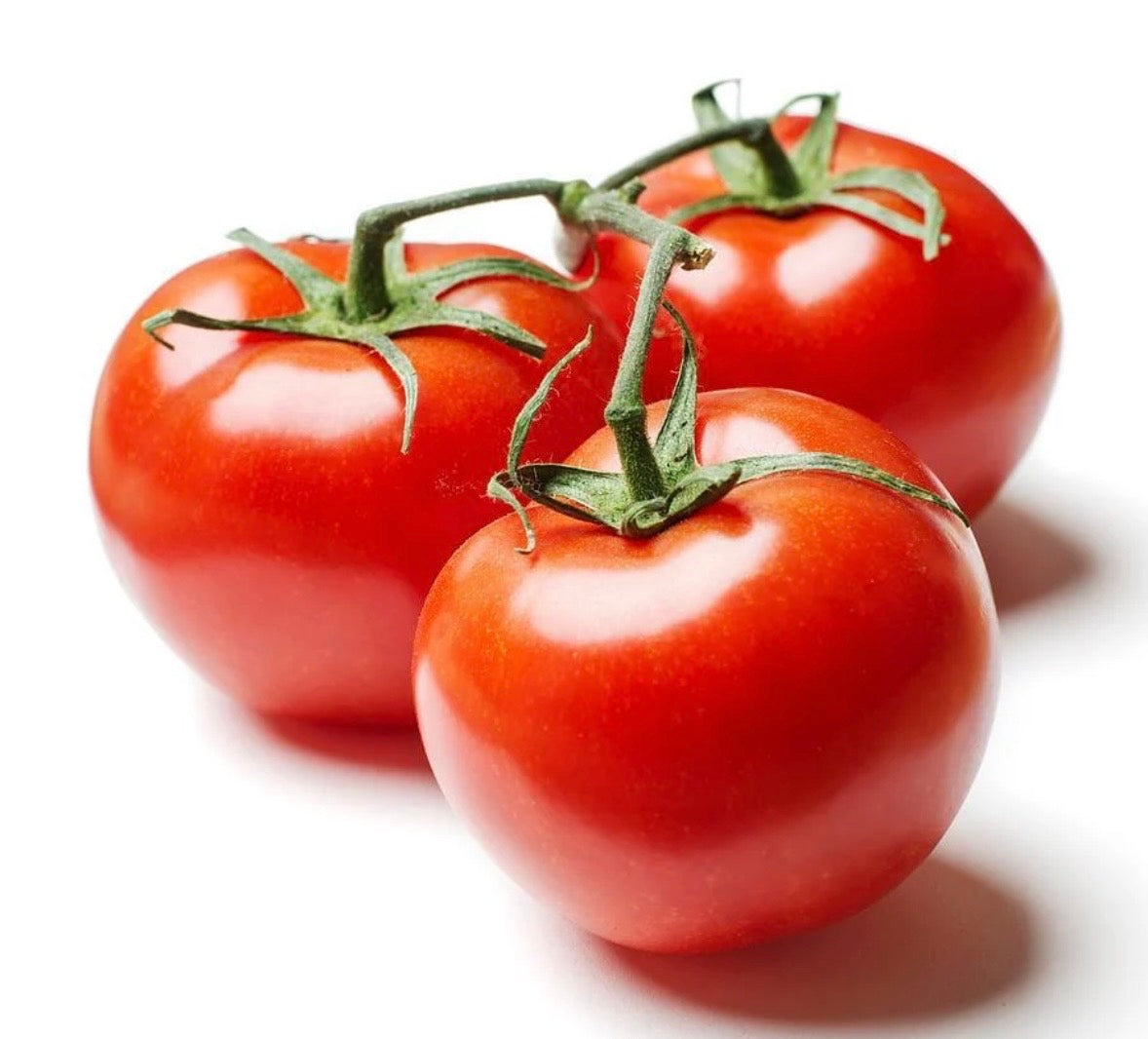 Tomatoes / Tomates — 3 unidades